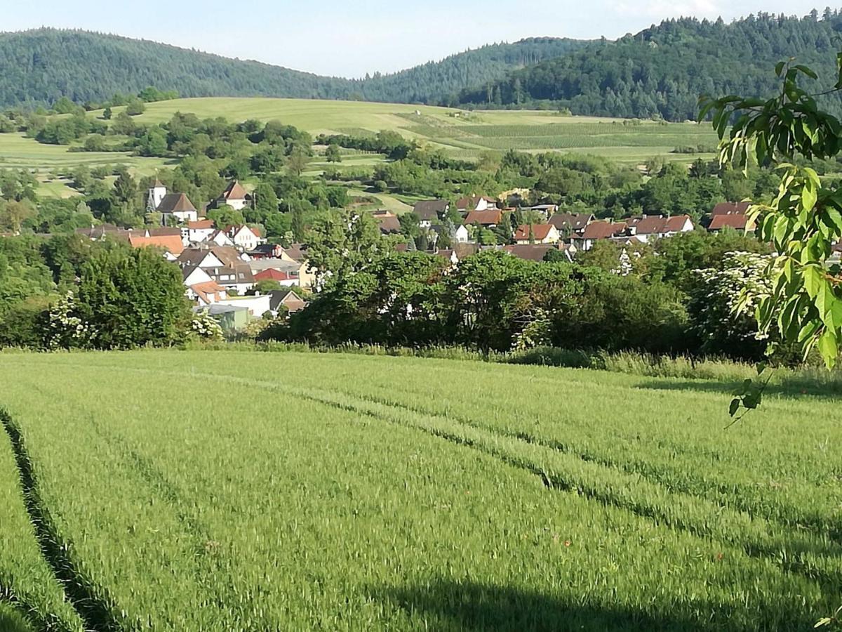 Galerie Ueber Den Gaerten Herbolzheim Exteriör bild