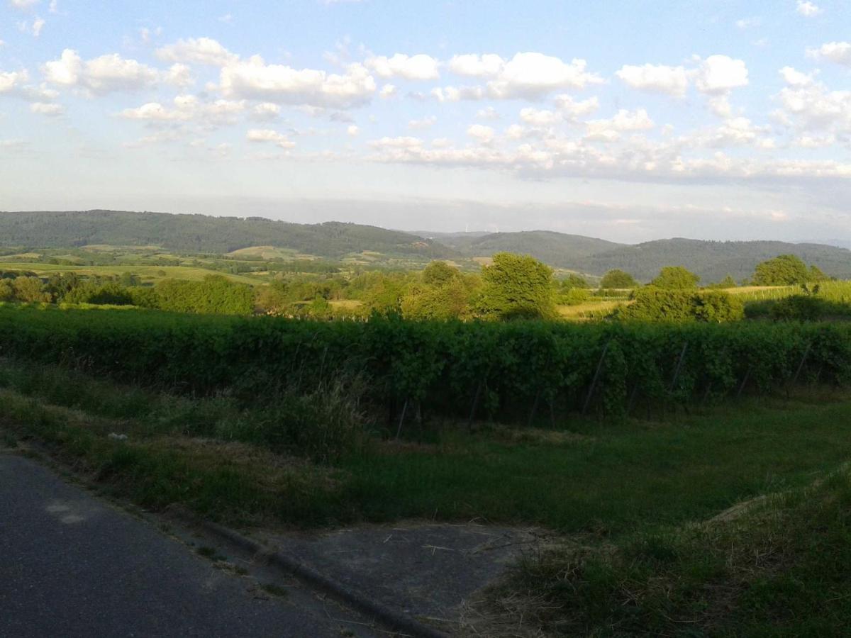 Galerie Ueber Den Gaerten Herbolzheim Exteriör bild