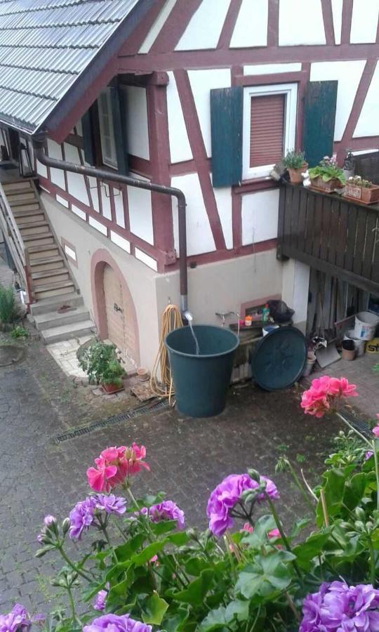 Galerie Ueber Den Gaerten Herbolzheim Exteriör bild