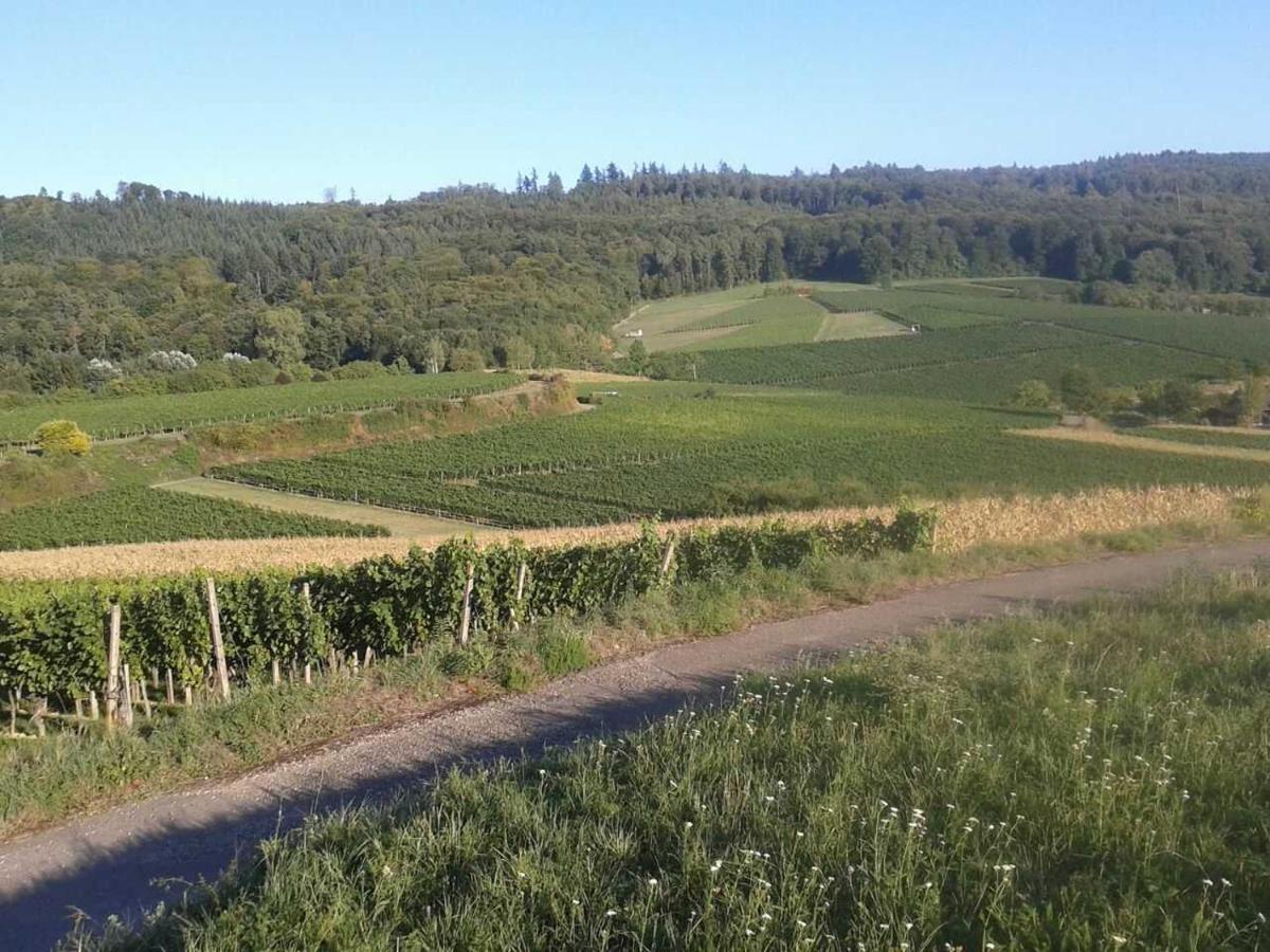 Galerie Ueber Den Gaerten Herbolzheim Exteriör bild