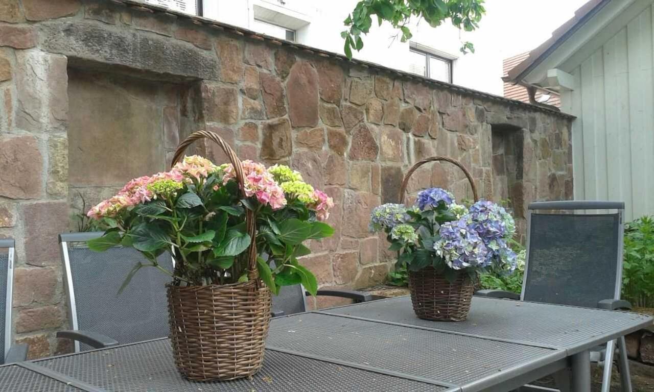 Galerie Ueber Den Gaerten Herbolzheim Exteriör bild