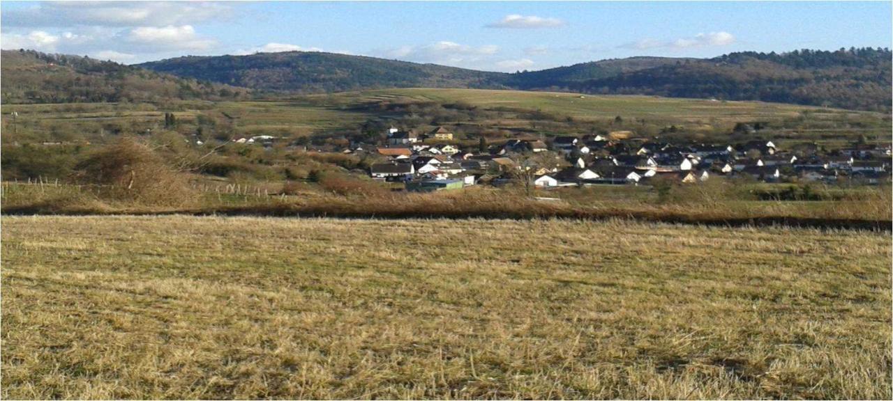 Galerie Ueber Den Gaerten Herbolzheim Exteriör bild